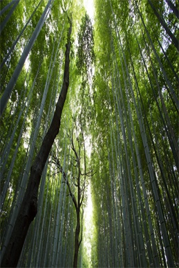 余罪第二季全集高清资源-正版观看渠道和版本辨别方法