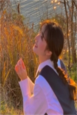 战龙在野国语完整版-寻找完整版本之前